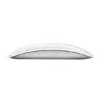 image of apple mouse 3