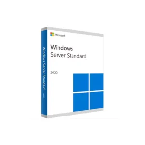 WINDOWS Server Standard 2022 64BIT ENGLISH 1PK DVD 1 User Lifetime